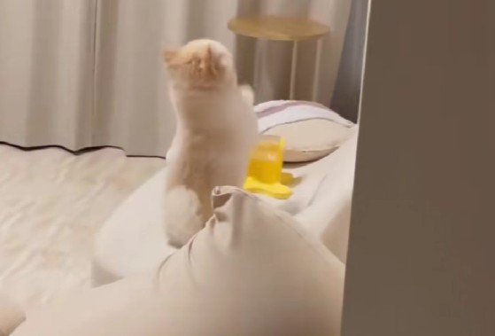 部屋を覗いてみると…