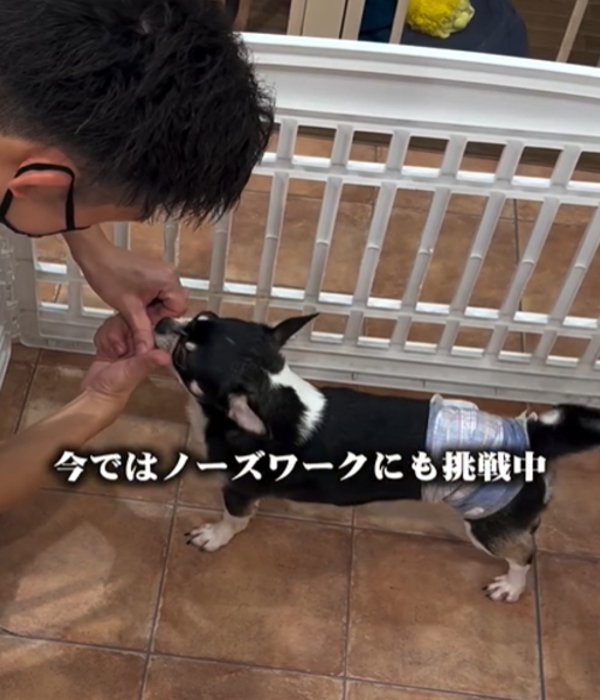横を向く犬