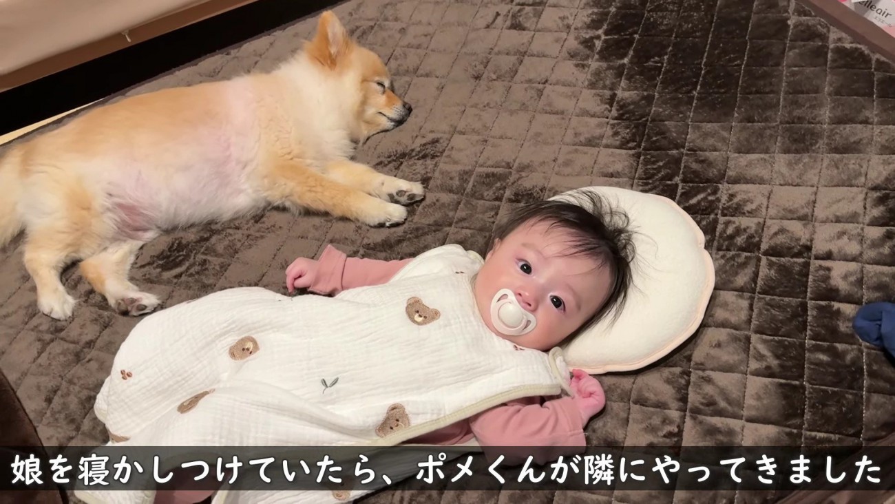 寝かしつけにも挑戦