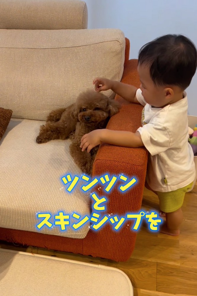 優しく頭をツンツンする