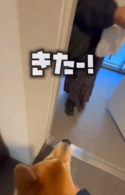 帰ってきたママと赤ちゃん