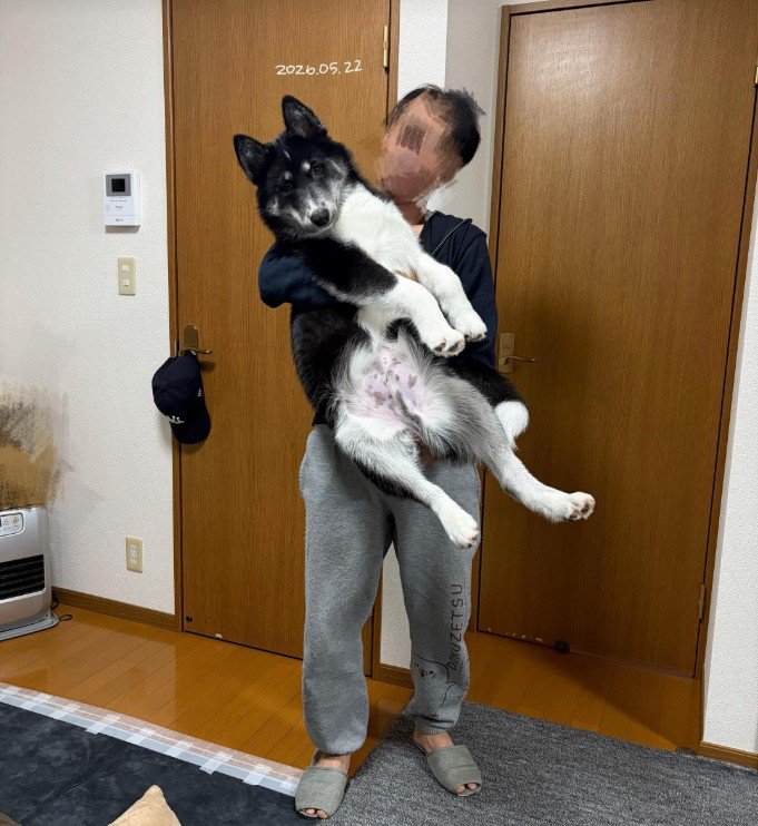 ついに20kg突破！
