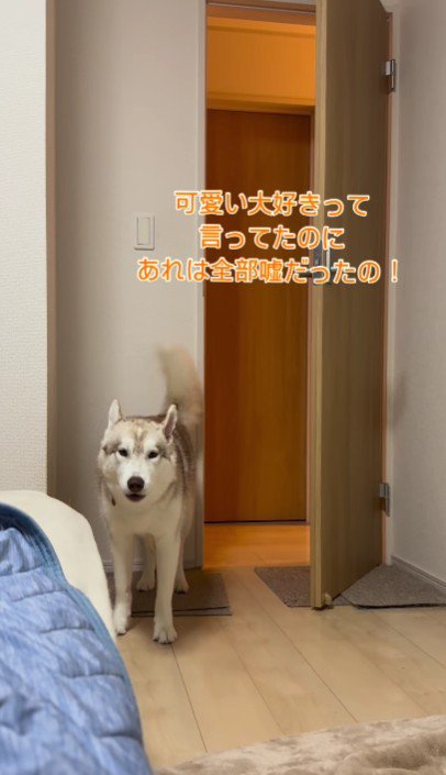 「一番って言ったじゃん！！」