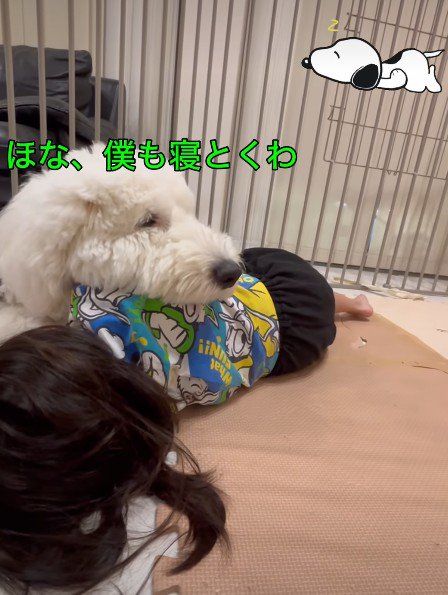 愛しかない光景にホッコリ
