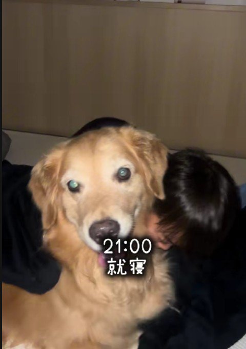 寝るときも一緒だよ！