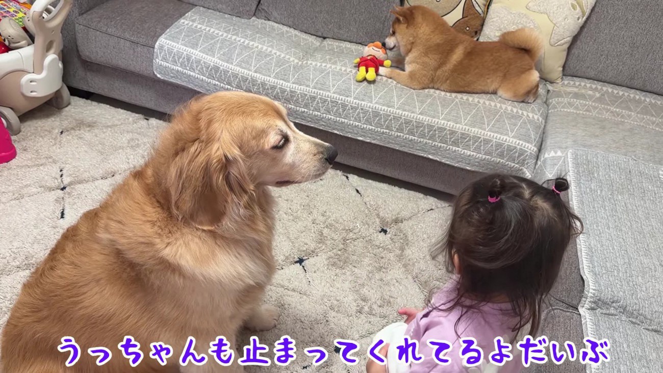 頼った相手はおからちゃん