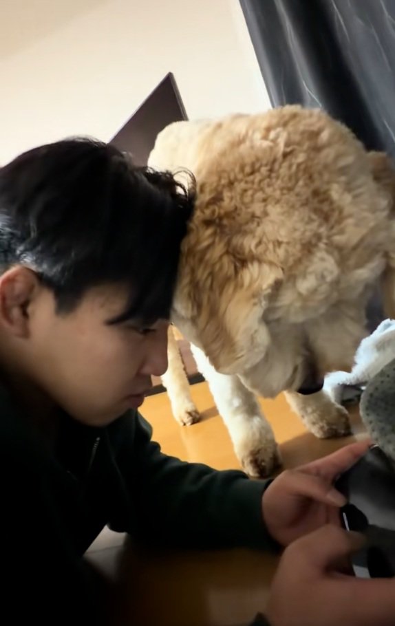 顔をくっつけるふたり