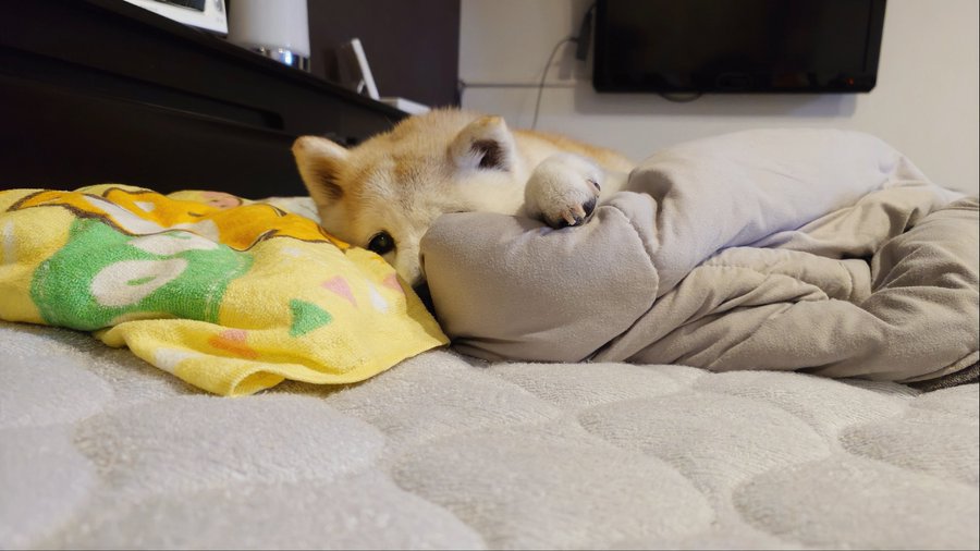 のんびり