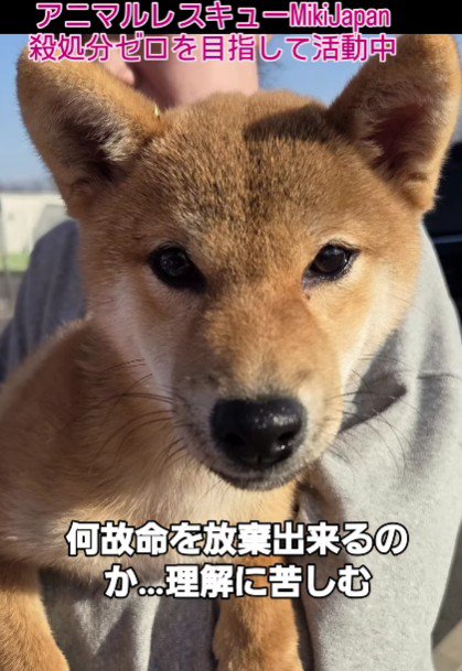 「今度こそ幸せになってほしい…」