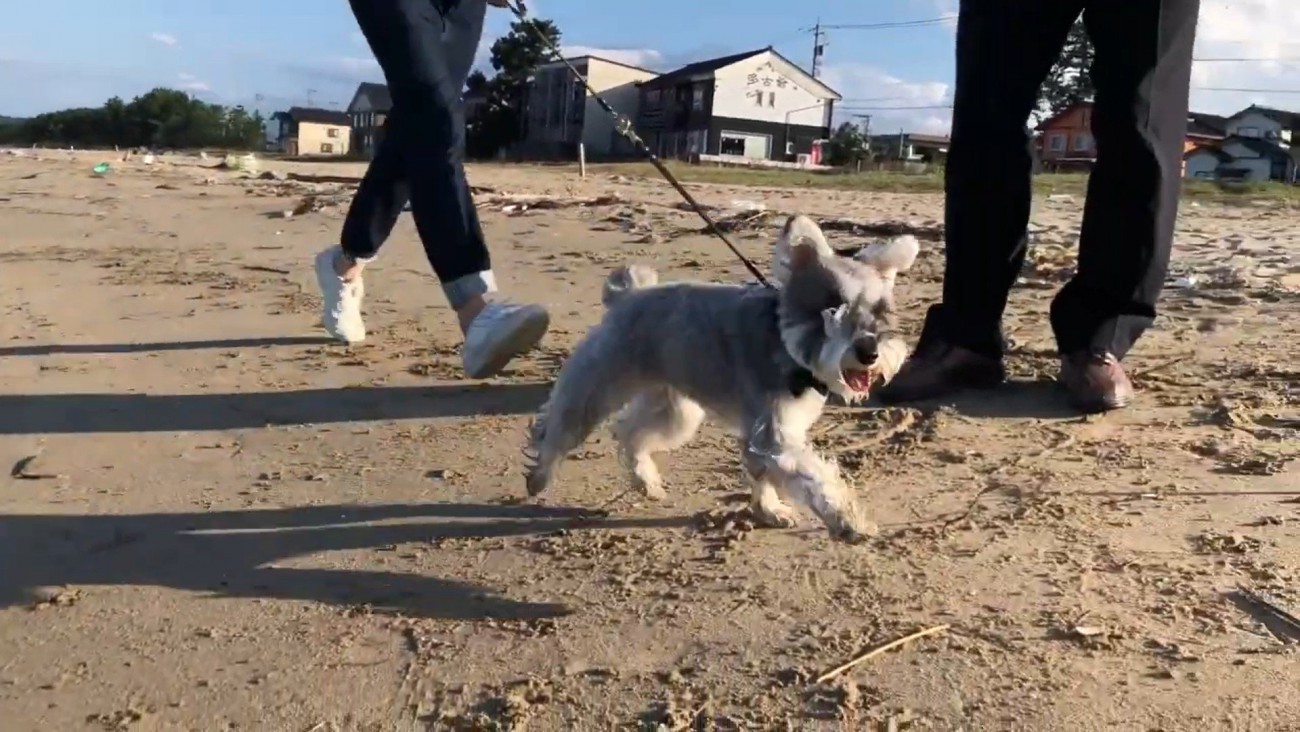 とっても楽しそう！
