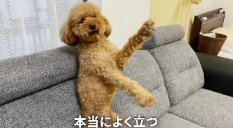 不思議な動きに！！