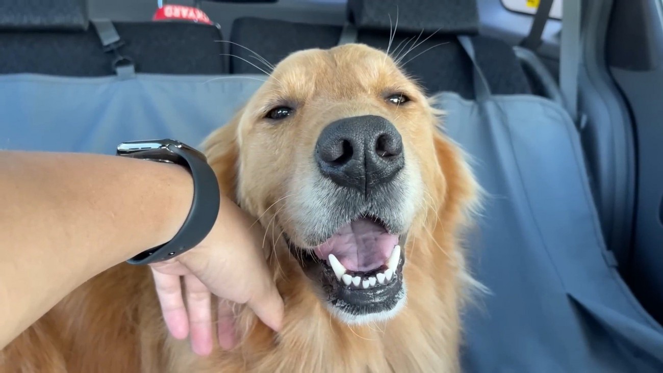 ニコ～ッと笑顔に！