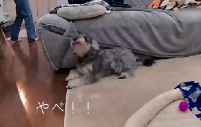 ママに呼ばれたら…