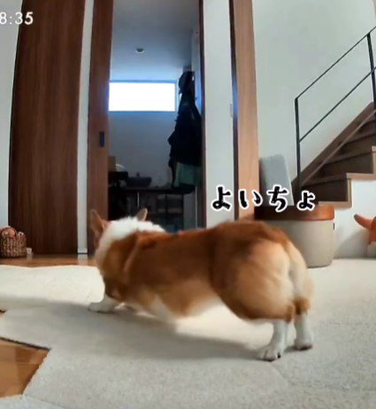 ぐいーっと伸び