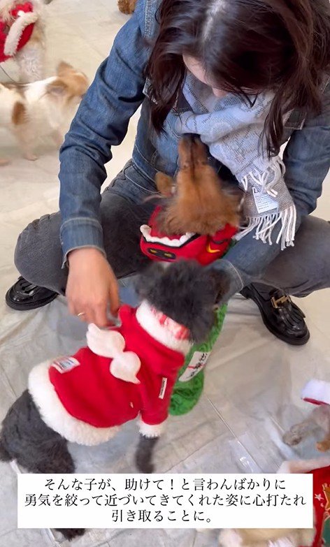 ラホちゃんとの出会いと現在5