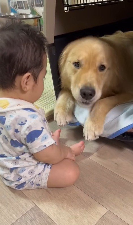 オレオくんと赤ちゃん4