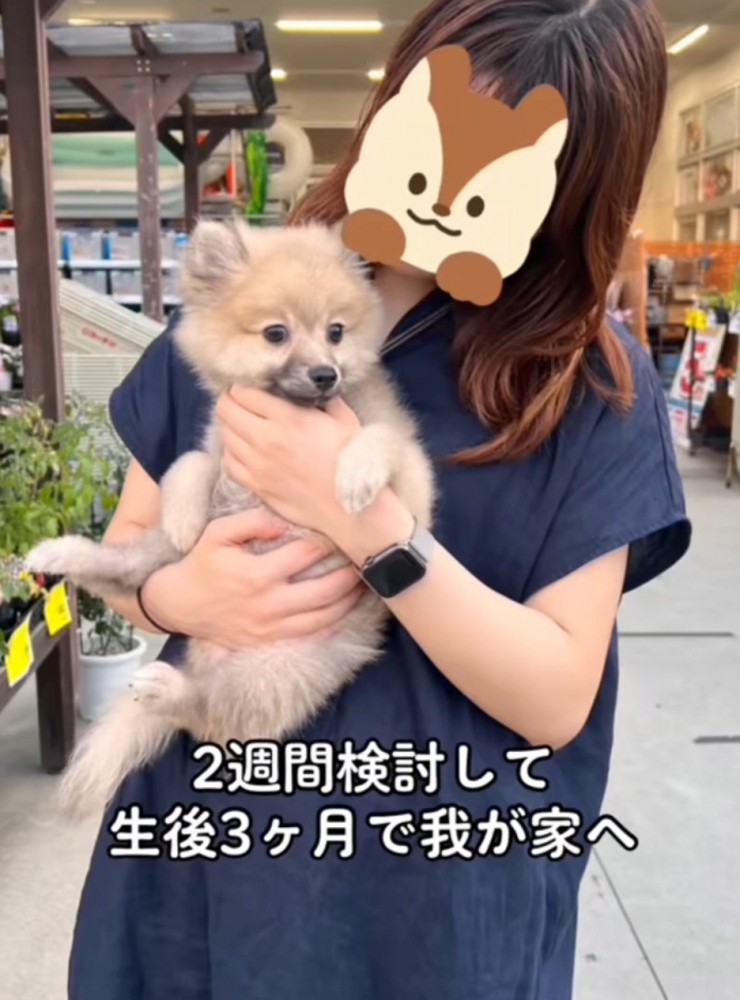 女性に抱っこされる子犬