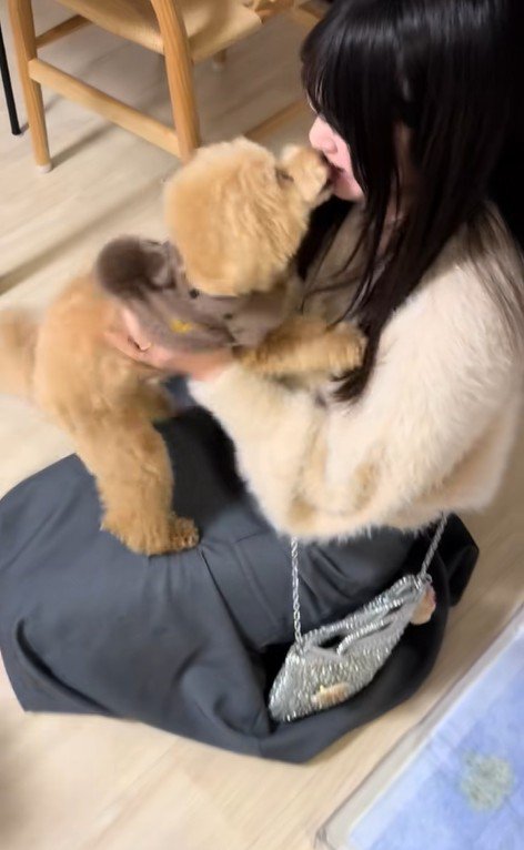 モコちゃんと飼い主さんの再会9