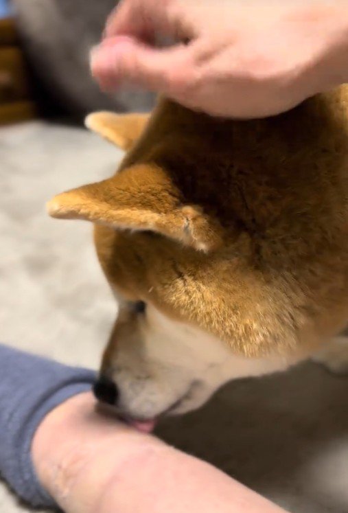 事情を話すと、足をペロペロ