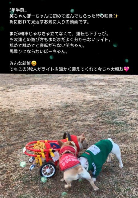 車椅子のライトくんとお友達4