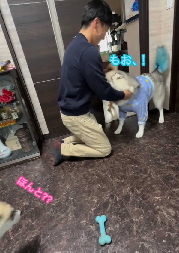 パパさん帰宅時のワンコたち6