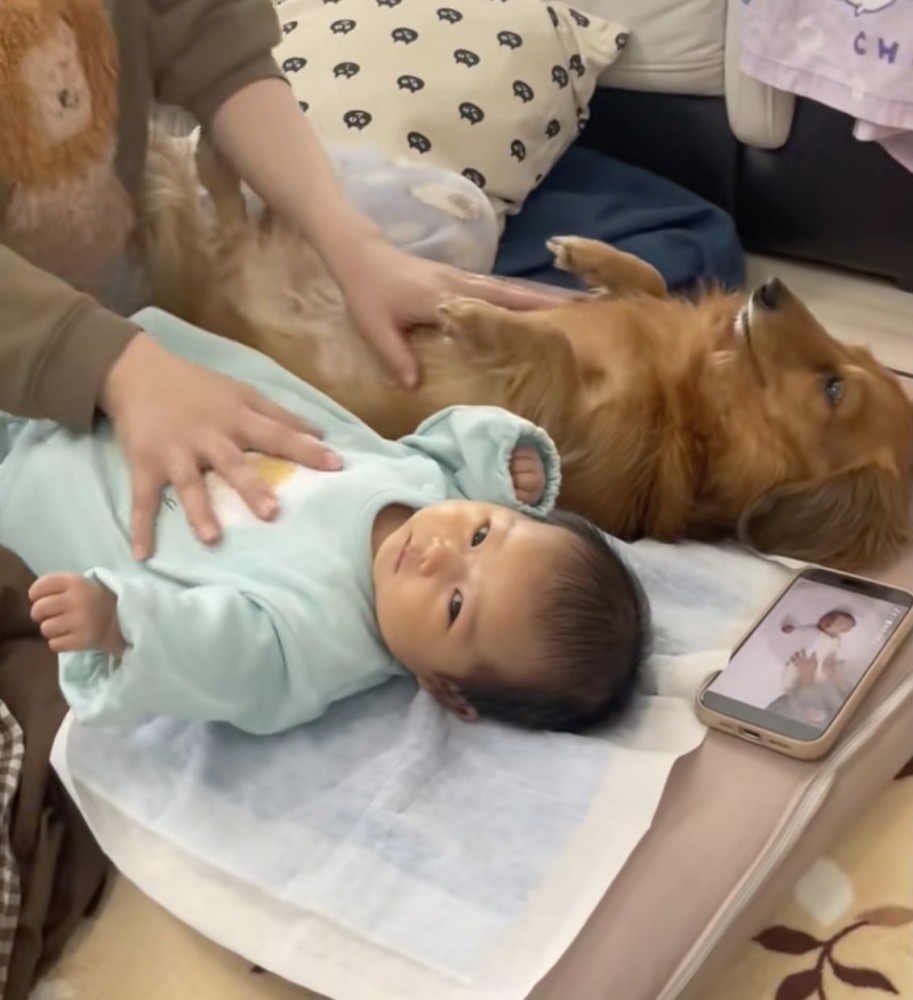 赤ちゃんも真顔！