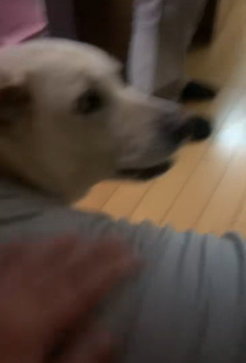 ナデナデ♡