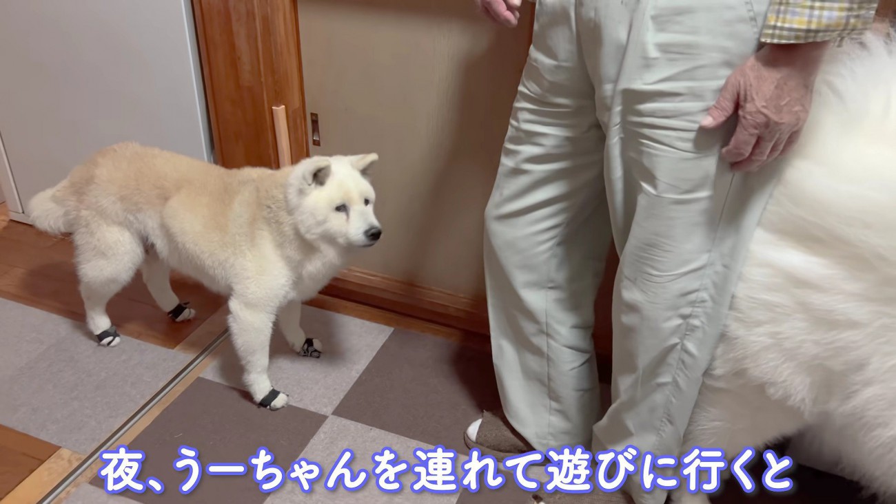 赤ちゃんが遊びに来た