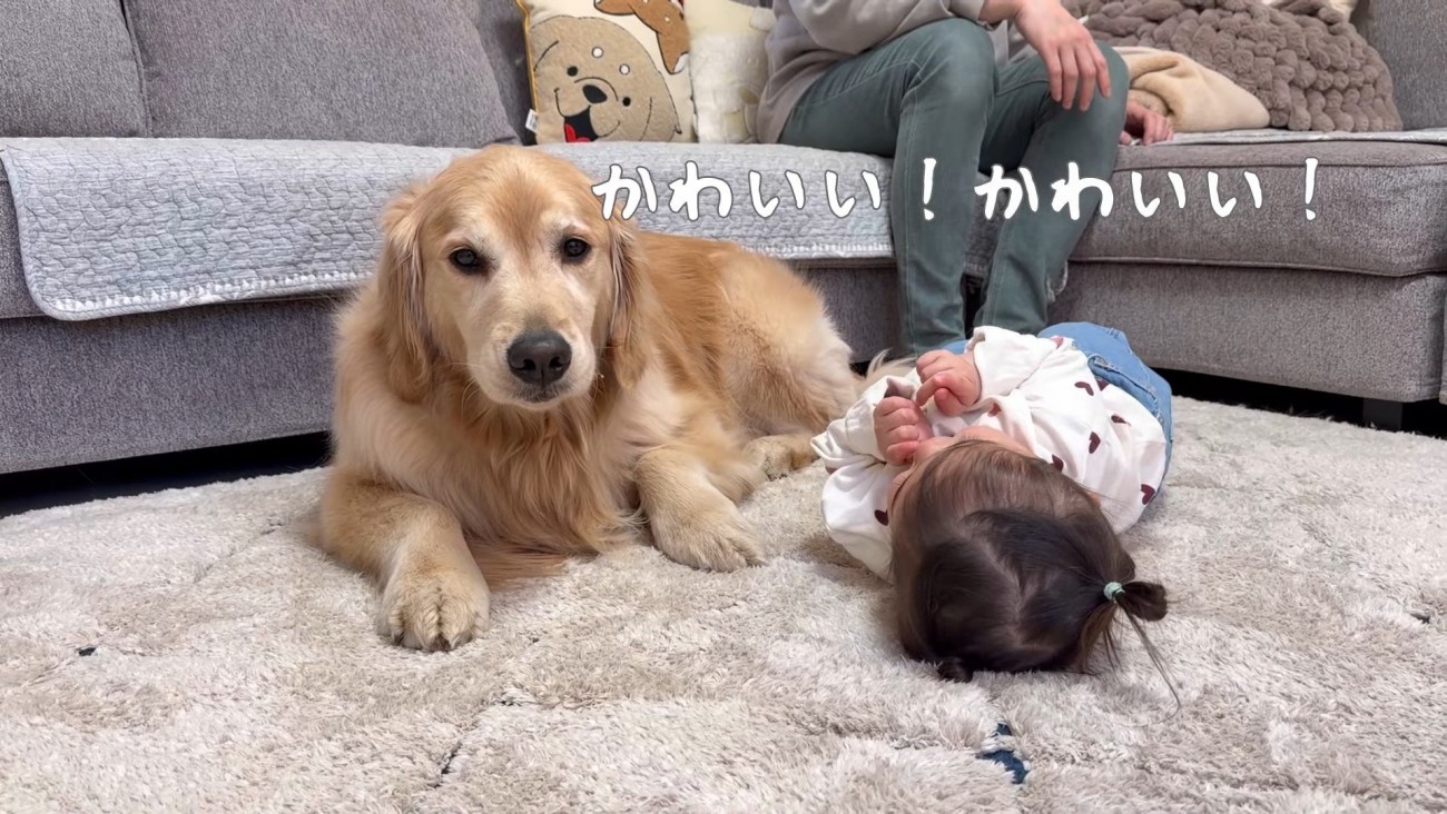 わんこと育った女の子