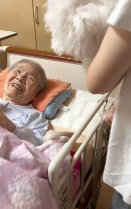 本当に大好きだった