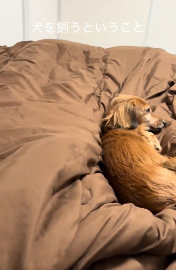 強引に入るママ