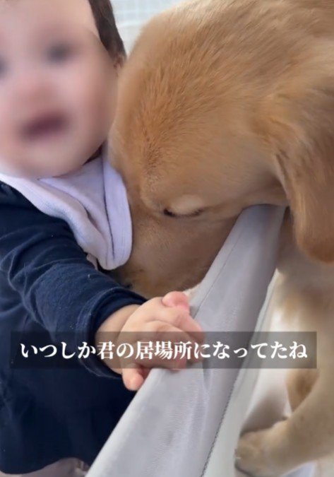 甘えたいときもあるけど…