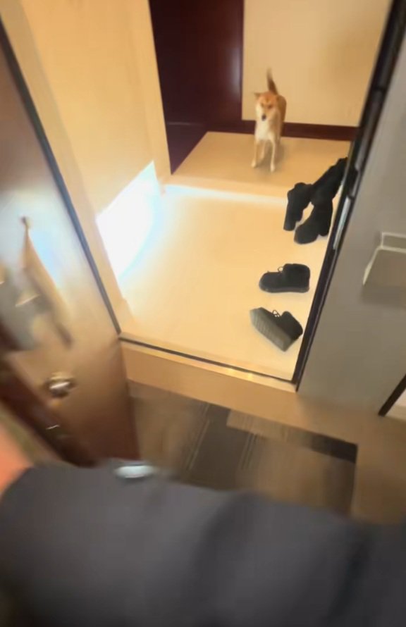 玄関前で待っていたごぅちゃん