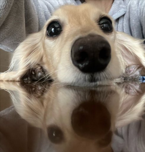 逆さ富士ならぬ