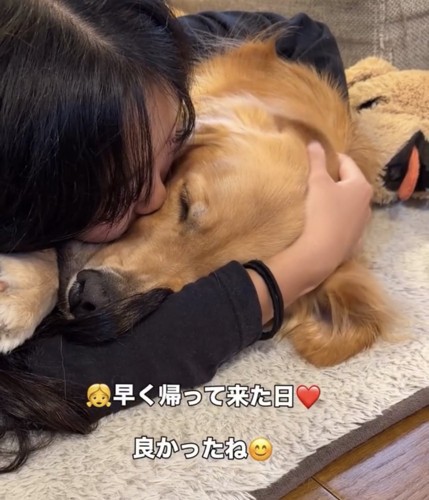 女の子に顔を抱きしめられる犬