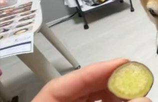 蒸し