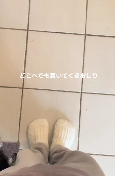 何度移動しても…