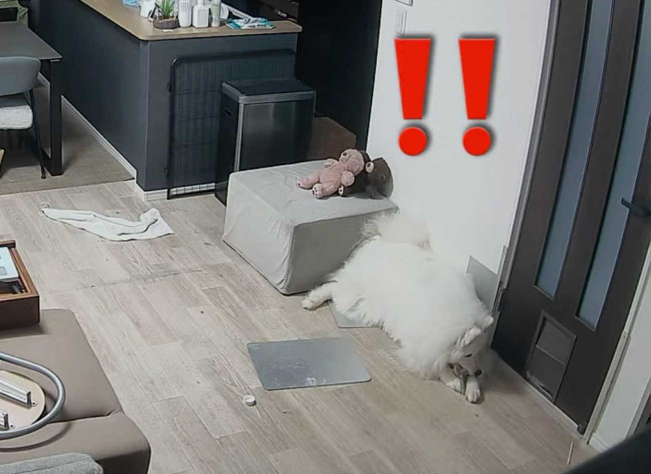 顔を上げるセブンちゃん
