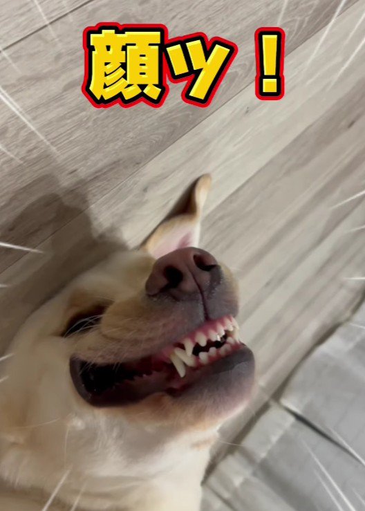「涼しい～」