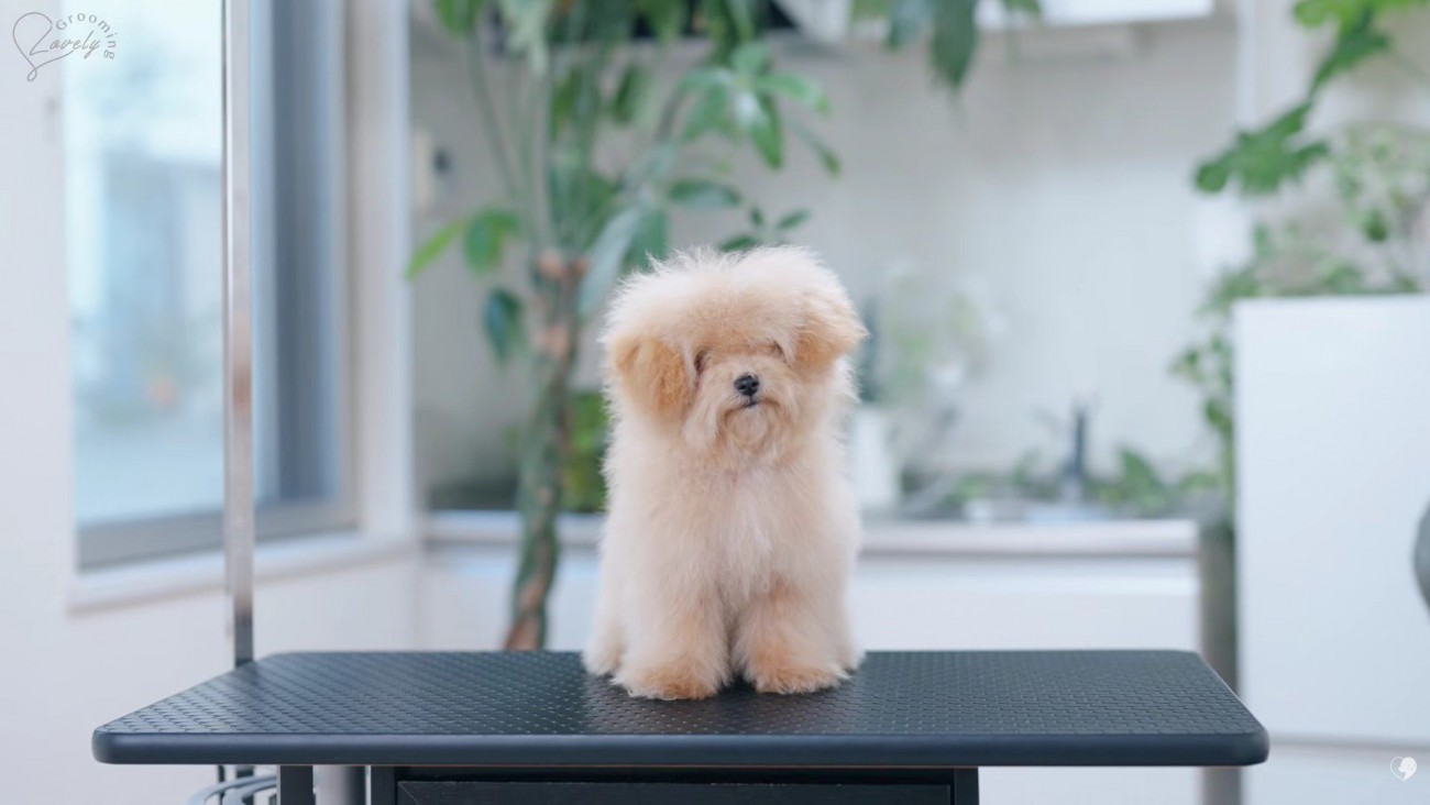 ボリュームたっぷり