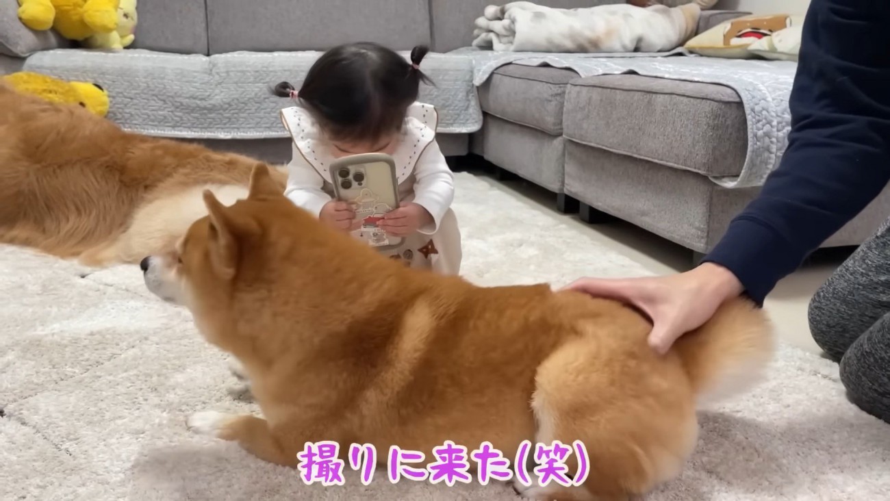 シャッターチャンス！！