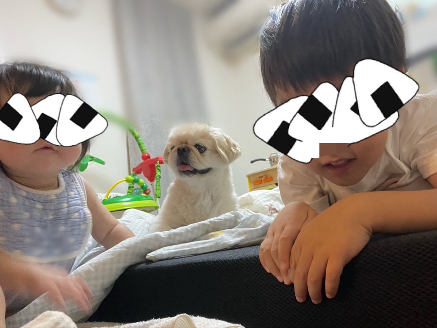 きょうだい