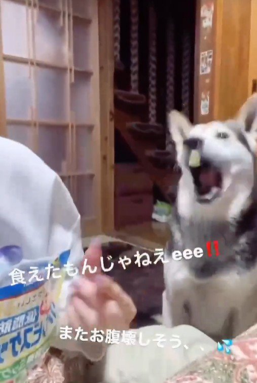 オヤツを放り投げたら…