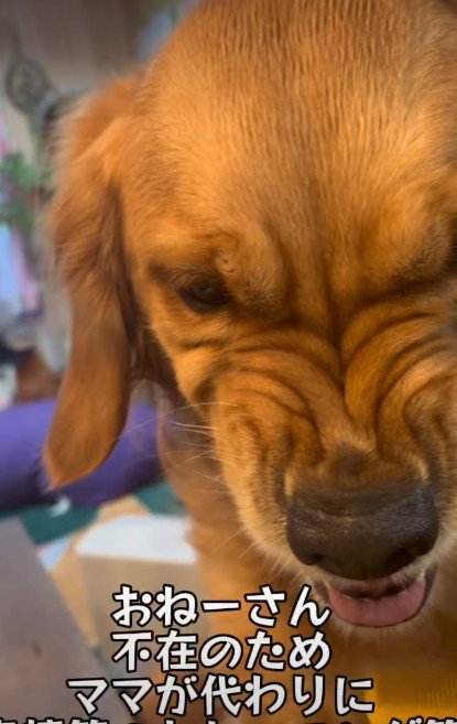 嫌いなものは嫌い！