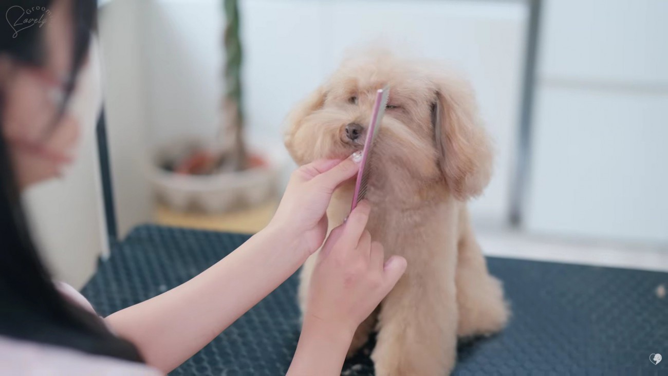 だんだんスッキリしてきた