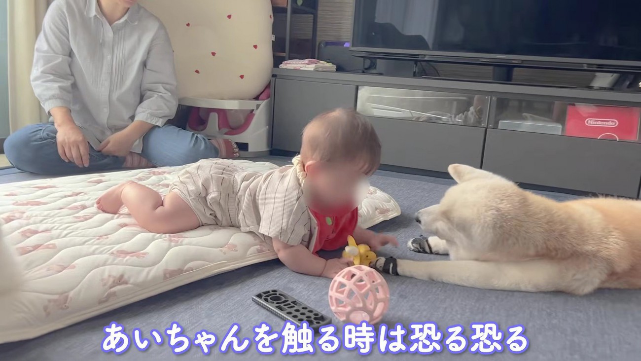 あいちゃんに手を伸ばします