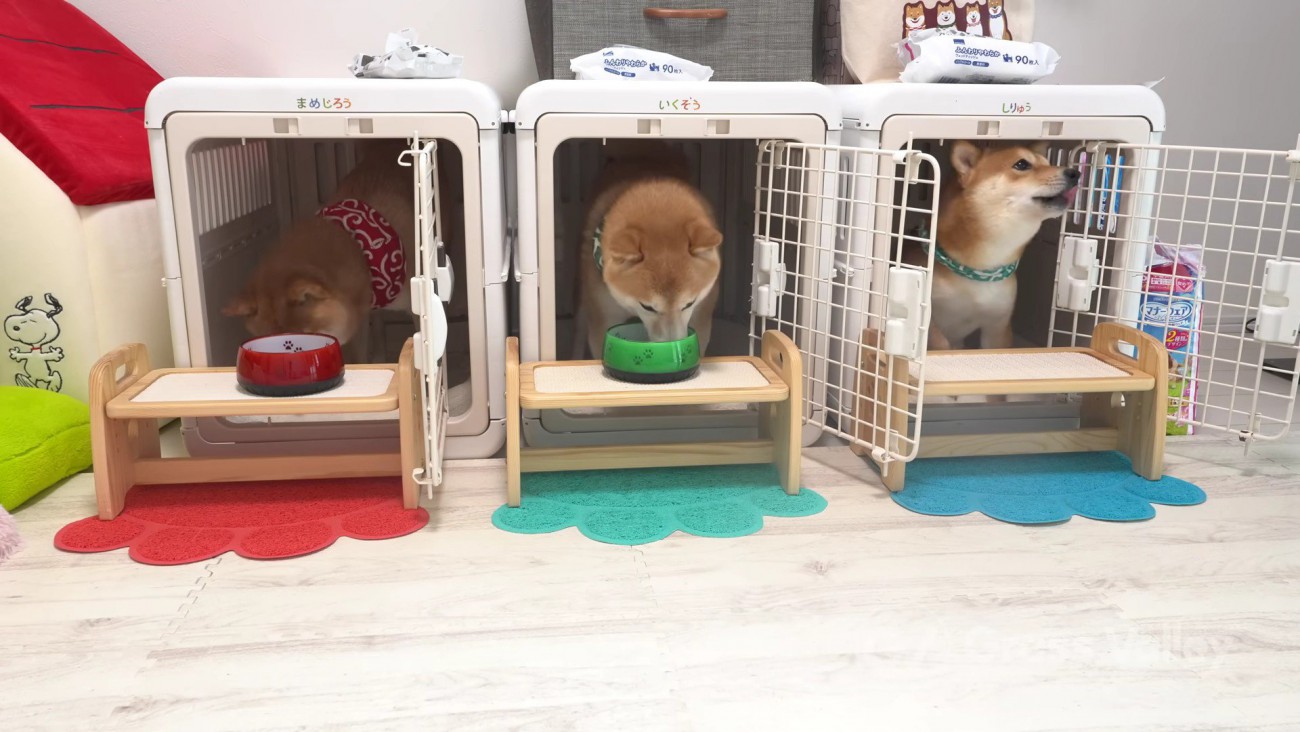 男の子の3人組