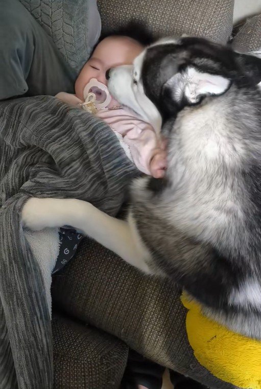 諭吉くんと赤ちゃん6