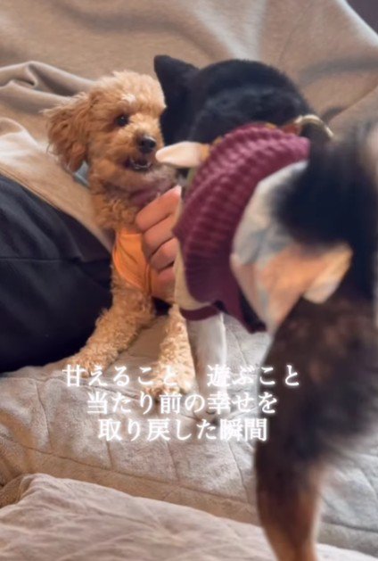 一緒に遊ぶって楽しい♪