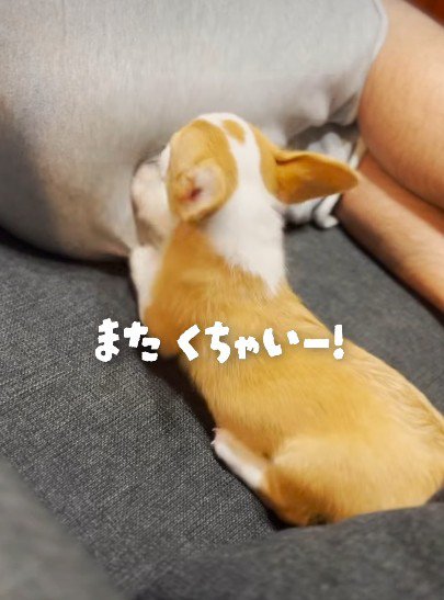 突然オナラが！！